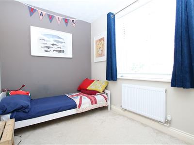 Picture 15